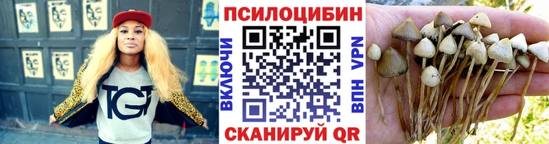 Галлюциногенные грибы MAGIC MUSHROOMS  Нязепетровск 
